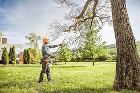 Best Tree and Shrub Care  in Oak Grove, TN